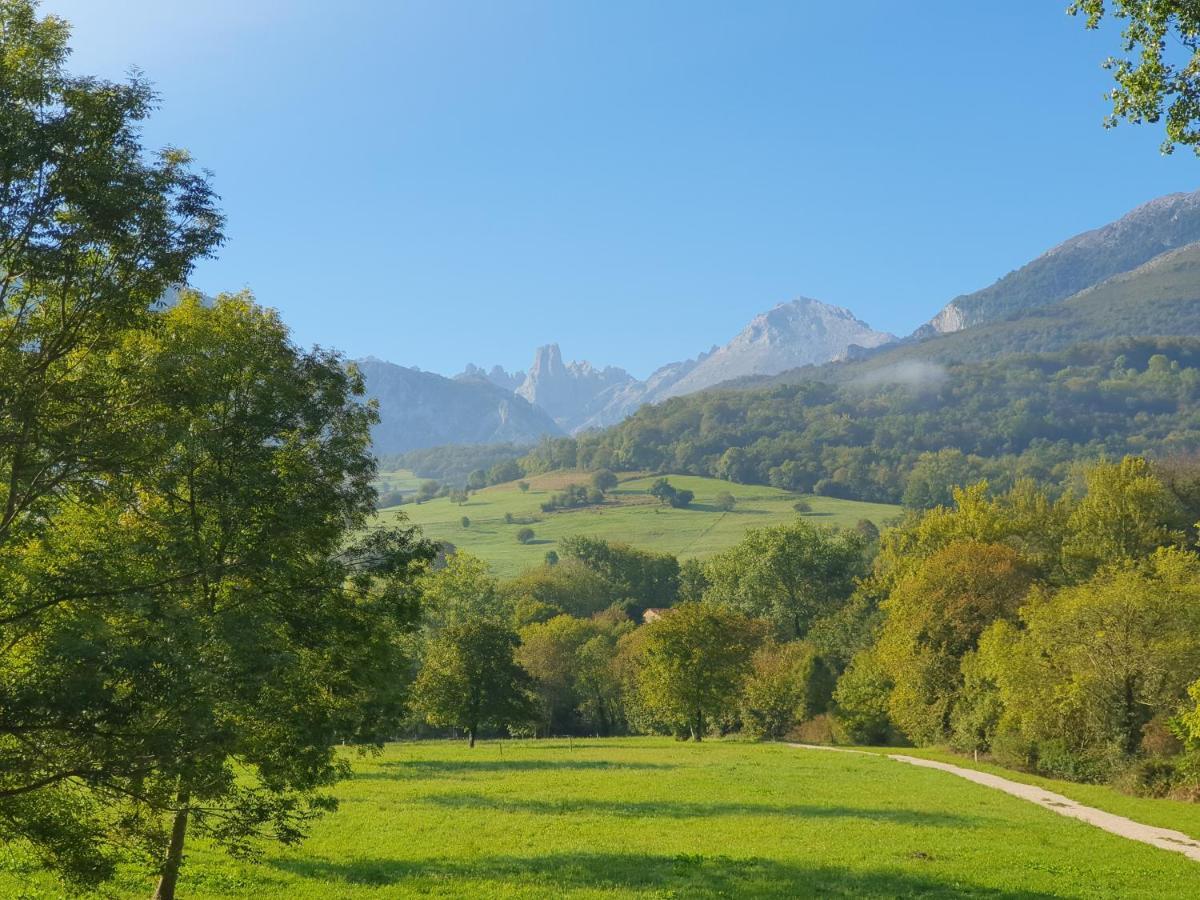 La Estancia De Cangas - Amplio Piso Con Garaje Onís Kültér fotó